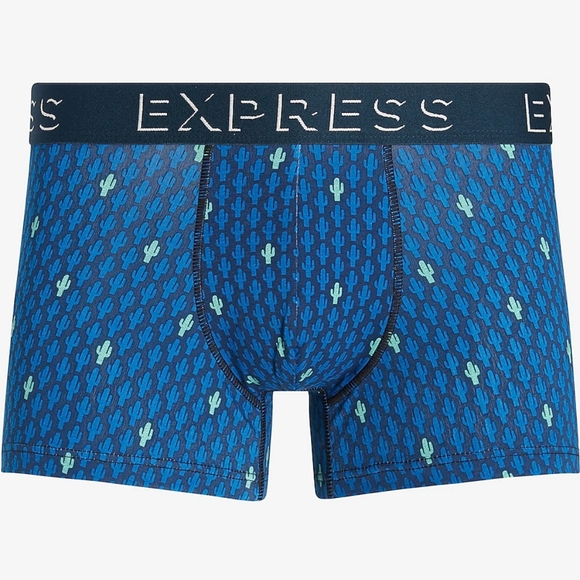 Express Comfort Cotton Cactus Print Boxer Brief - Picture 2 of 4